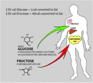 conversao-glicose-e-frutose-em-gordura
